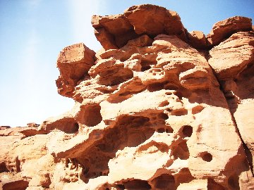 ariz186.jpg