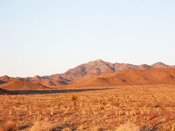 ariz331.jpg
