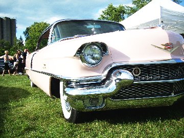 carpix81o.jpg