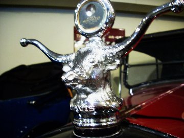 carpix84w.jpg