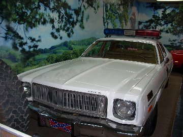 cooters6.jpg