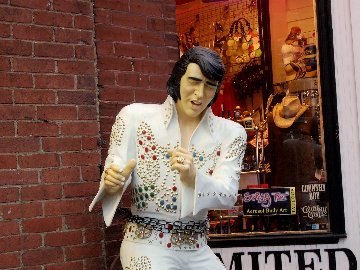 elvis2.jpg