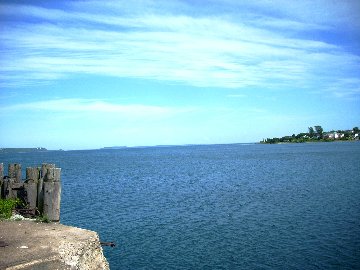 michnor74.jpg