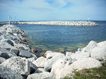 michnor78.jpg