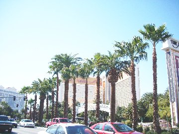 nev29b.jpg