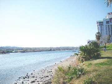 nevl8.jpg