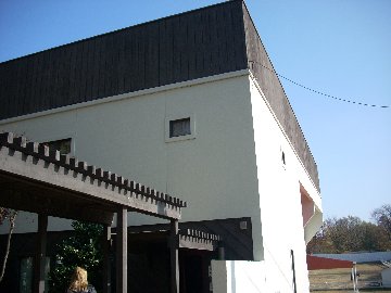 swtenn113.jpg