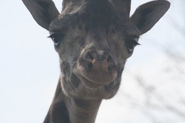zoo2.jpg