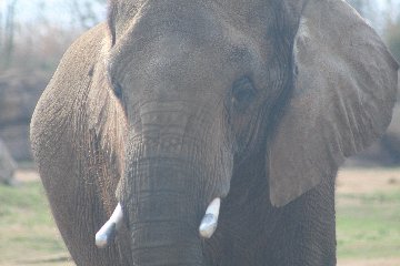 zoo3.jpg