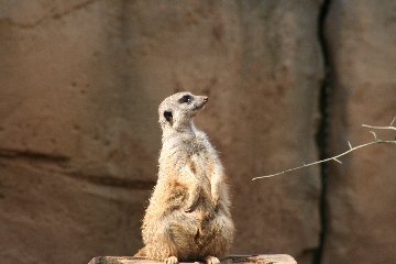 zoo4.jpg