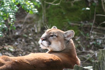 zoo7.jpg